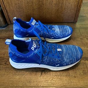 Men’s Puma IGNITE evoKNIT Lo Shoes/Sneakers
